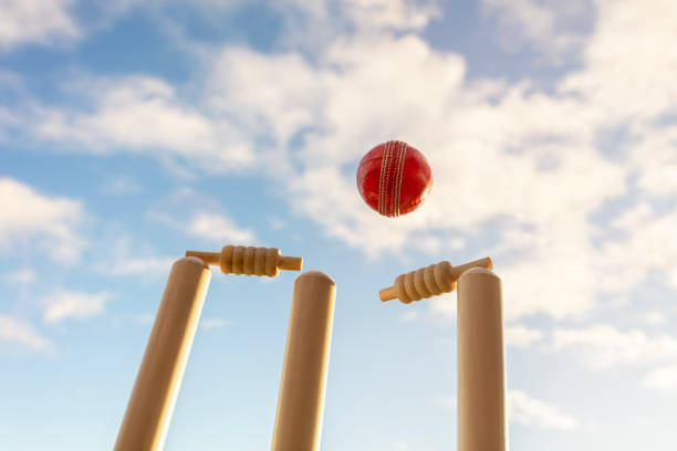 Cricbet99 Creates a User-Friendly Betting Experience for Beginners Cricbet99